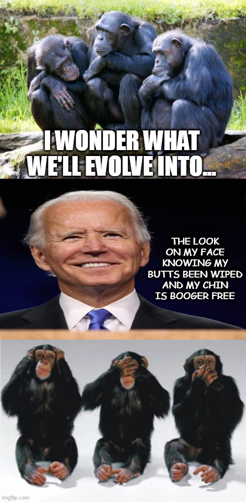 3 Chimps Pondering Life Hear No Evil See No Evil Speak No Evil | I WONDER WHAT WE'LL EVOLVE INTO... THE LOOK ON MY FACE KNOWING MY BUTTS BEEN WIPED AND MY CHIN IS BOOGER FREE | image tagged in 3 chimps pondering life hear no evil see no evil speak no evil,joe biden,biden,chimpanzee | made w/ Imgflip meme maker