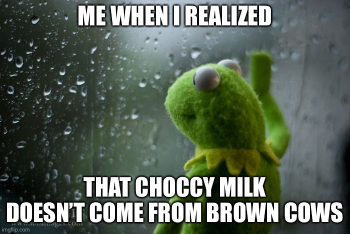 Kermet |  ME WHEN I REALIZED; THAT CHOCCY MILK DOESN’T COME FROM BROWN COWS | image tagged in kermit window | made w/ Imgflip meme maker