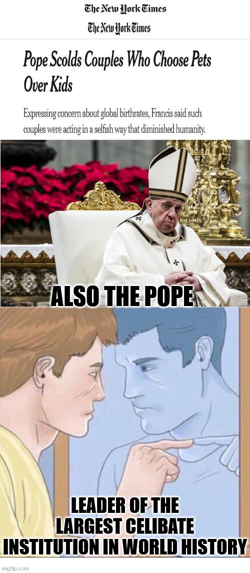 Seems a little hypocritical | ALSO THE POPE; LEADER OF THE LARGEST CELIBATE INSTITUTION IN WORLD HISTORY | image tagged in pointing mirror guy,pope,dank,christian,meme,r/dankchristianmemes | made w/ Imgflip meme maker