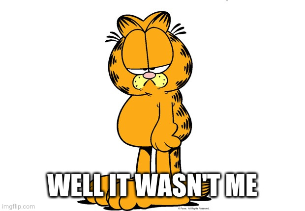 Grumpy Garfield | WELL IT WASN'T ME | image tagged in grumpy garfield | made w/ Imgflip meme maker