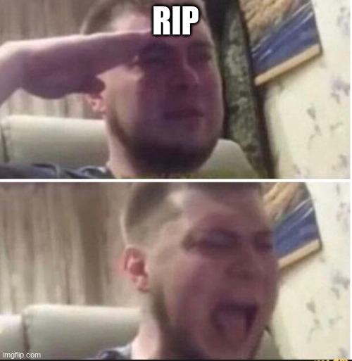 Crying salute | RIP | image tagged in crying salute | made w/ Imgflip meme maker