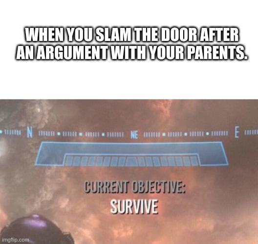 WHEN YOU SLAM THE DOOR AFTER AN ARGUMENT WITH YOUR PARENTS. | image tagged in blank square,current objective survive | made w/ Imgflip meme maker
