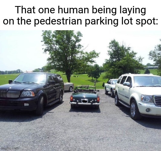 Pedestrian | That one human being laying on the pedestrian parking lot spot: | image tagged in comment section,comments,comment,memes,meme,parking lot | made w/ Imgflip meme maker