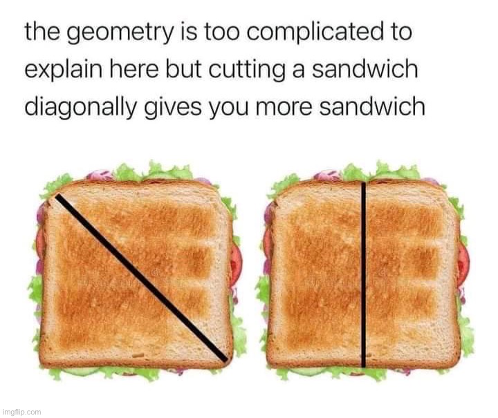 Cutting a sandwich diagonally | image tagged in cutting a sandwich diagonally | made w/ Imgflip meme maker