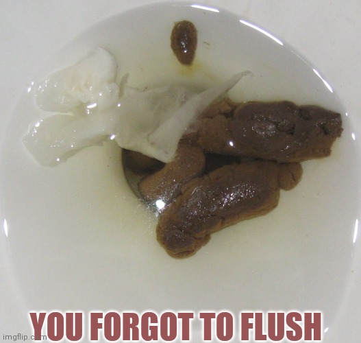 YOU FORGOT TO FLUSH | made w/ Imgflip meme maker