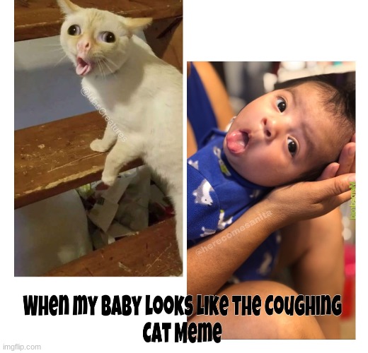 found this on on instagram lmao | made w/ Imgflip meme maker