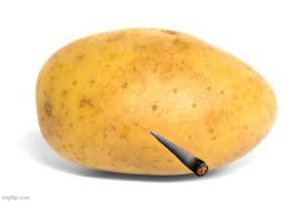 Potato | image tagged in potato | made w/ Imgflip meme maker