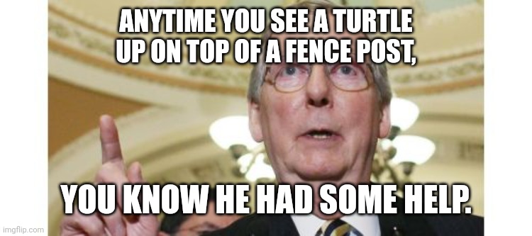 Mitch McConnell | ANYTIME YOU SEE A TURTLE
UP ON TOP OF A FENCE POST, YOU KNOW HE HAD SOME HELP. | image tagged in memes,mitch mcconnell | made w/ Imgflip meme maker