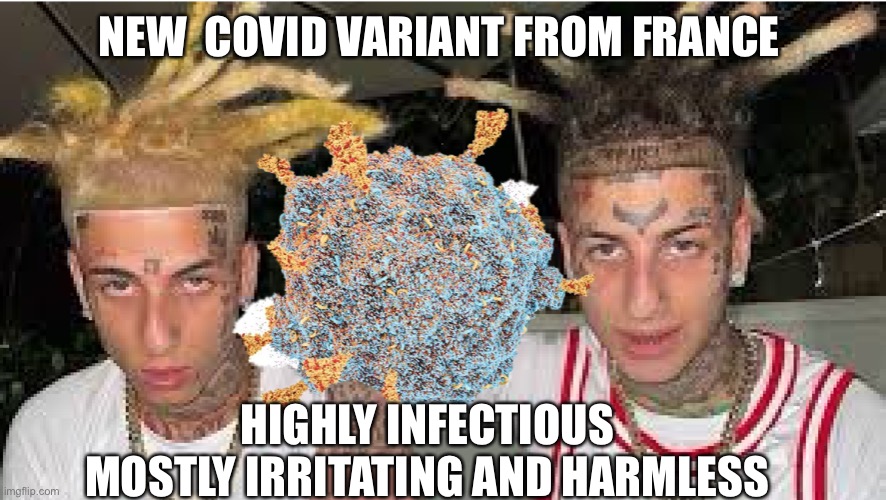 Island Covid | NEW  COVID VARIANT FROM FRANCE; HIGHLY INFECTIOUS 
MOSTLY IRRITATING AND HARMLESS | image tagged in omicron island boys,happy,fun,meme,upvore | made w/ Imgflip meme maker