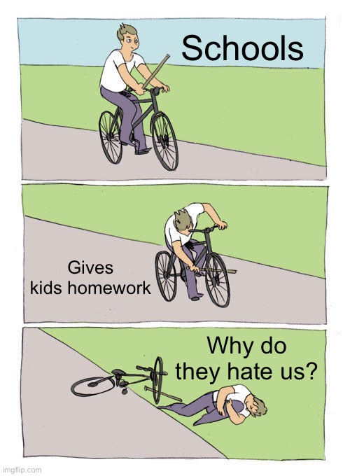 Why do they hate us? | Schools; Gives kids homework; Why do they hate us? | image tagged in memes,bike fall | made w/ Imgflip meme maker