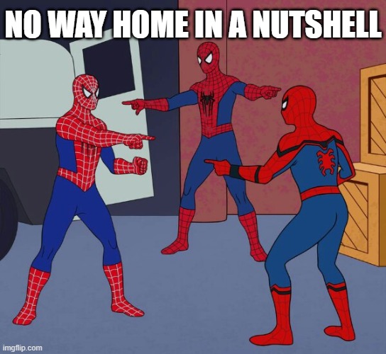 Spider Man Triple | NO WAY HOME IN A NUTSHELL | image tagged in spider man triple | made w/ Imgflip meme maker