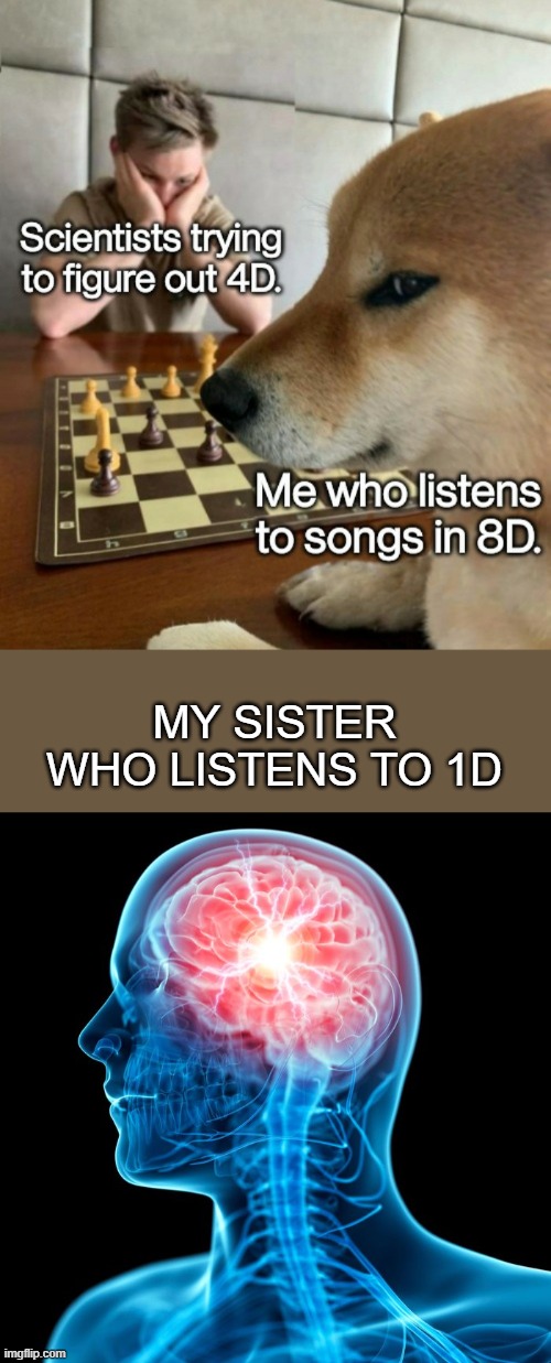 Big brain | MY SISTER WHO LISTENS TO 1D | image tagged in one direction,funny memes | made w/ Imgflip meme maker