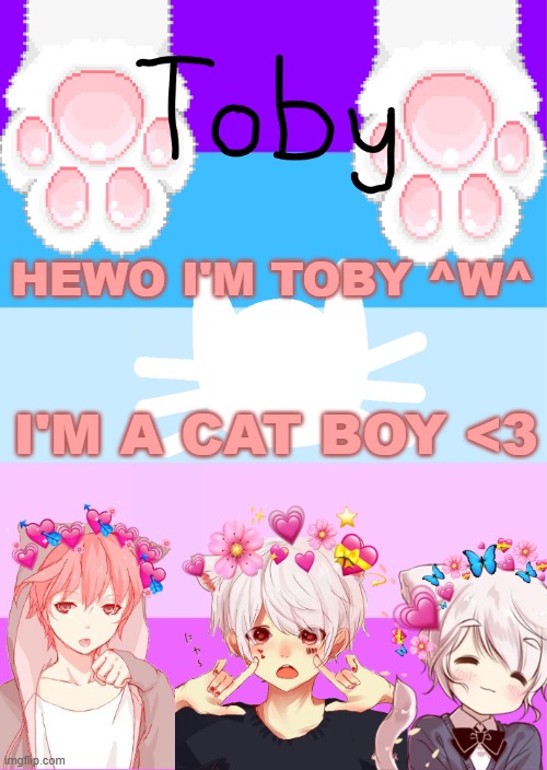 I'm new here~~meow | HEWO I'M TOBY ^W^; I'M A CAT BOY <3 | image tagged in toby's template | made w/ Imgflip meme maker