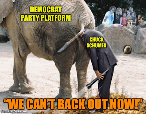 super brown noser | DEMOCRAT PARTY PLATFORM; CHUCK SCHUMER; “WE CAN’T BACK OUT NOW!” | image tagged in super brown noser | made w/ Imgflip meme maker