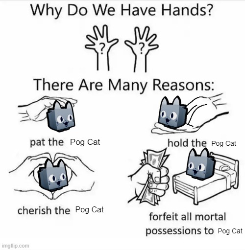 Why do we have hands? (all blank) |  Pog Cat; Pog Cat; Pog Cat; Pog Cat | image tagged in why do we have hands all blank,pogchamp,pog,poggers,memes,money | made w/ Imgflip meme maker