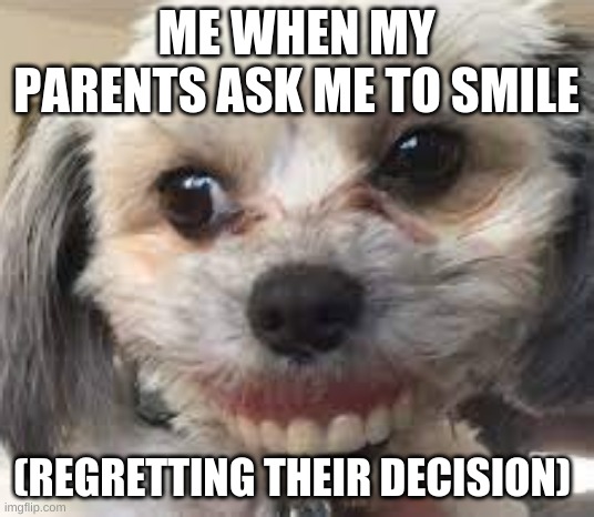 Me smiling | ME WHEN MY PARENTS ASK ME TO SMILE; (REGRETTING THEIR DECISION) | image tagged in funny | made w/ Imgflip meme maker