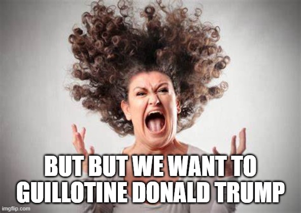 BUT BUT WE WANT TO GUILLOTINE DONALD TRUMP | made w/ Imgflip meme maker