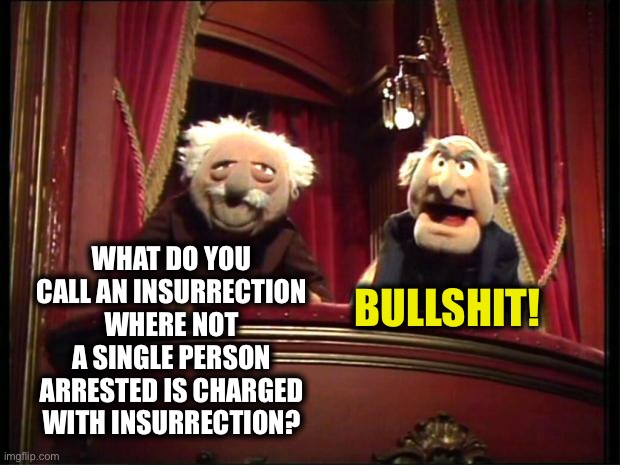 Statler and Waldorf | WHAT DO YOU CALL AN INSURRECTION WHERE NOT A SINGLE PERSON ARRESTED IS CHARGED WITH INSURRECTION? BULLSHIT! | image tagged in statler and waldorf | made w/ Imgflip meme maker