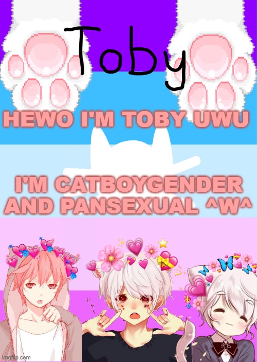 Hewoo :3 | HEWO I'M TOBY UWU; I'M CATBOYGENDER AND PANSEXUAL ^W^ | image tagged in toby's template | made w/ Imgflip meme maker