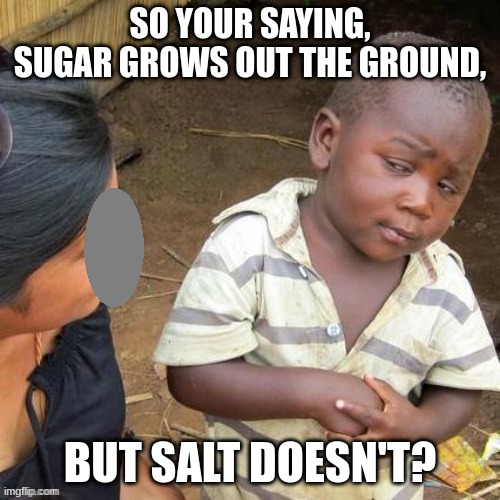 so you say | SO YOUR SAYING, SUGAR GROWS OUT THE GROUND, BUT SALT DOESN'T? | image tagged in so you say | made w/ Imgflip meme maker