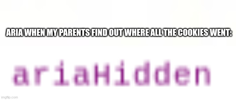 a coding thing | ARIA WHEN MY PARENTS FIND OUT WHERE ALL THE COOKIES WENT: | made w/ Imgflip meme maker