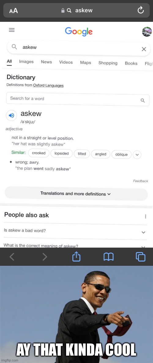 When you google ‘askew’… | AY THAT KINDA COOL | image tagged in memes,cool obama | made w/ Imgflip meme maker