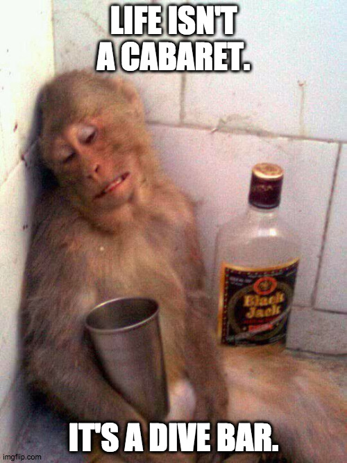 dive bar is a cabaret | LIFE ISN'T A CABARET. IT'S A DIVE BAR. | image tagged in drunk monkey | made w/ Imgflip meme maker