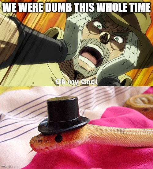 dumbmoungus | WE WERE DUMB THIS WHOLE TIME | image tagged in jojo oh my god | made w/ Imgflip meme maker