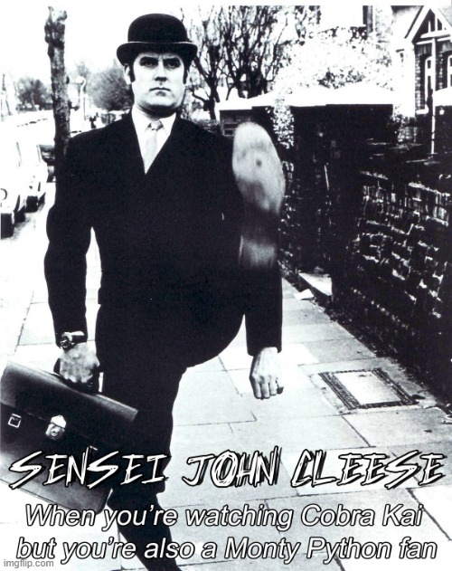 Sensei John Cleese | image tagged in john cleese,cobra kai,monty python | made w/ Imgflip meme maker
