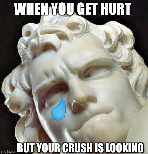 No pain No gain | WHEN YOU GET HURT; BUT YOUR CRUSH IS LOOKING | image tagged in lol | made w/ Imgflip meme maker