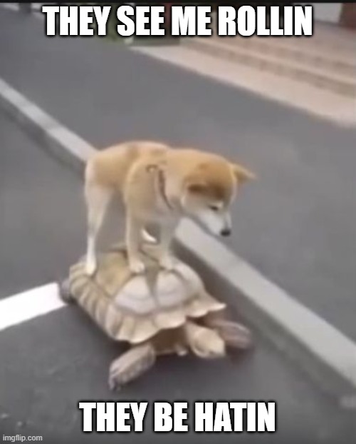 they see me rollin dog | THEY SEE ME ROLLIN THEY BE HATIN | image tagged in they see me rollin dog | made w/ Imgflip meme maker
