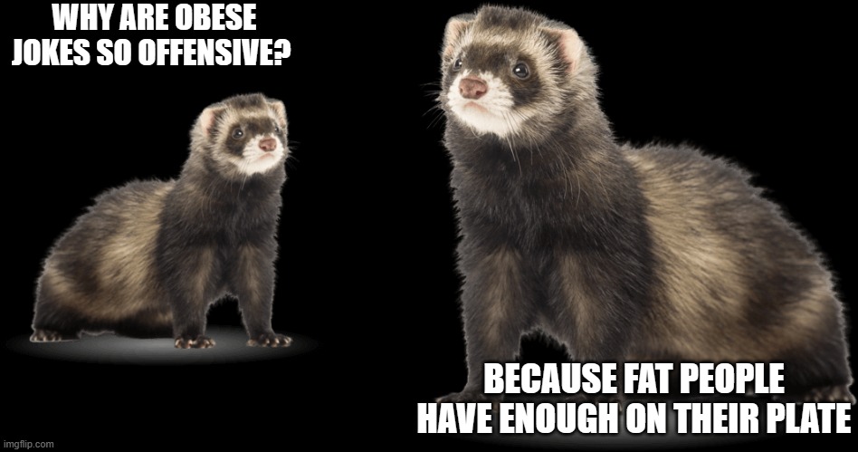 Wft ferrets! | WHY ARE OBESE JOKES SO OFFENSIVE? BECAUSE FAT PEOPLE HAVE ENOUGH ON THEIR PLATE | image tagged in ferret,dank memes | made w/ Imgflip meme maker