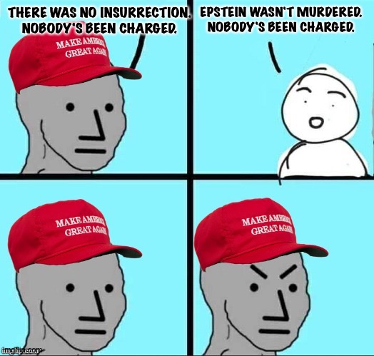 No charge. | THERE WAS NO INSURRECTION.
NOBODY'S BEEN CHARGED. EPSTEIN WASN'T MURDERED.
NOBODY'S BEEN CHARGED. | image tagged in maga npc an an0nym0us template | made w/ Imgflip meme maker