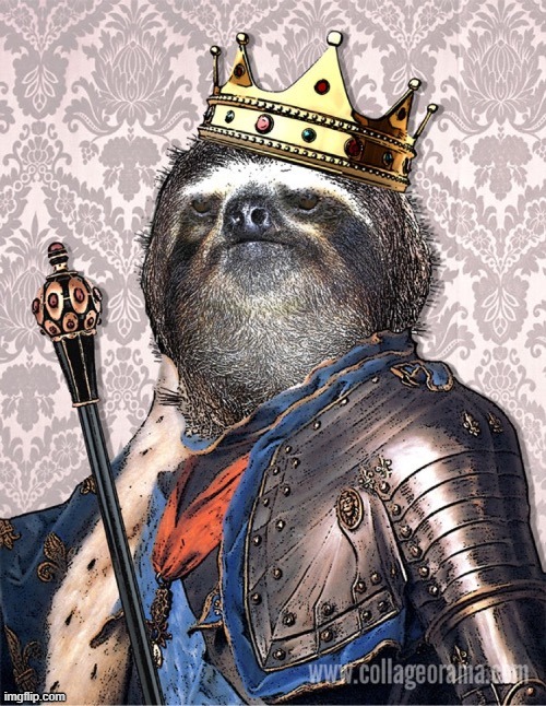 King sloth | image tagged in sloth,rmk | made w/ Imgflip meme maker