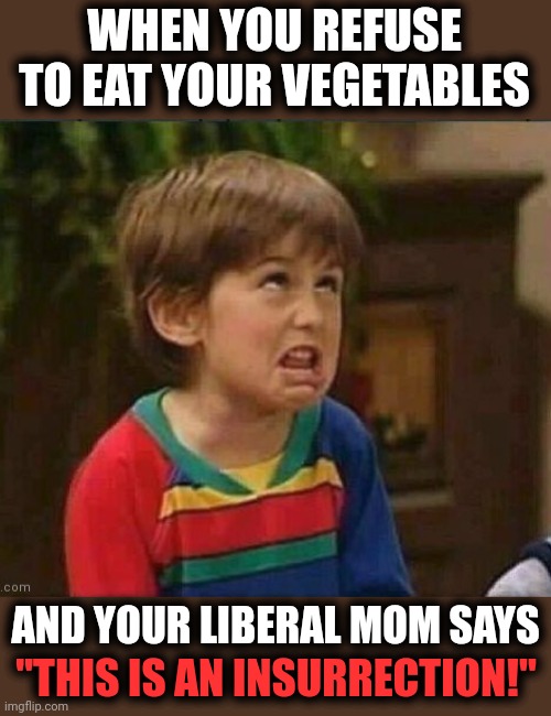 Oh, please... | WHEN YOU REFUSE TO EAT YOUR VEGETABLES; AND YOUR LIBERAL MOM SAYS; "THIS IS AN INSURRECTION!" | image tagged in sarcastic kid,memes,insurrection,liberals,democrats,january 6 | made w/ Imgflip meme maker