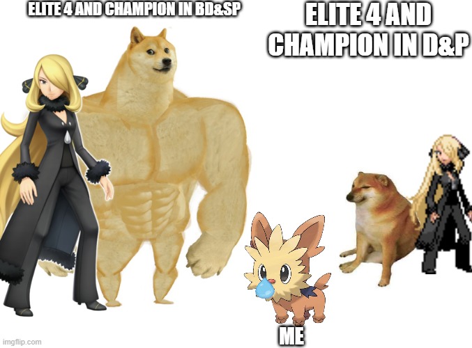 SO OVERPOWERED | ELITE 4 AND CHAMPION IN BD&SP; ELITE 4 AND CHAMPION IN D&P; ME | image tagged in big dog small dog | made w/ Imgflip meme maker