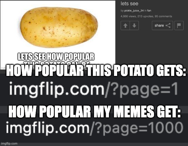 potato | HOW POPULAR THIS POTATO GETS:; HOW POPULAR MY MEMES GET: | image tagged in potato,couch potato | made w/ Imgflip meme maker