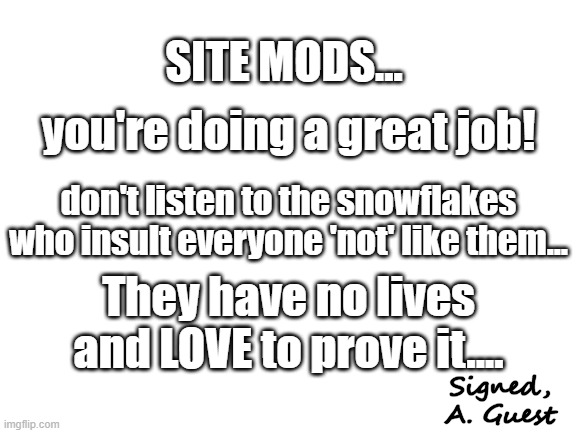 Msg, to ALL Mods | SITE MODS... you're doing a great job! don't listen to the snowflakes who insult everyone 'not' like them... They have no lives and LOVE to prove it.... Signed, A. Guest | image tagged in blank white template | made w/ Imgflip meme maker