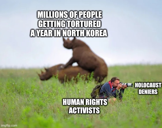 Rhinoceros and photographer | MILLIONS OF PEOPLE GETTING TORTURED A YEAR IN NORTH KOREA; HOLOCAUST DENIERS; HUMAN RIGHTS ACTIVISTS | image tagged in rhinoceros and photographer | made w/ Imgflip meme maker