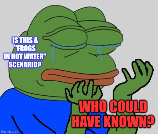 pepe cry | IS THIS A
"FROGS IN HOT WATER"
SCENARIO? WHO COULD HAVE KNOWN? | image tagged in pepe cry | made w/ Imgflip meme maker