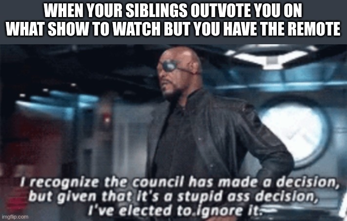 *Good Title Here* | WHEN YOUR SIBLINGS OUTVOTE YOU ON WHAT SHOW TO WATCH BUT YOU HAVE THE REMOTE | image tagged in i recognise the council has made a decision | made w/ Imgflip meme maker