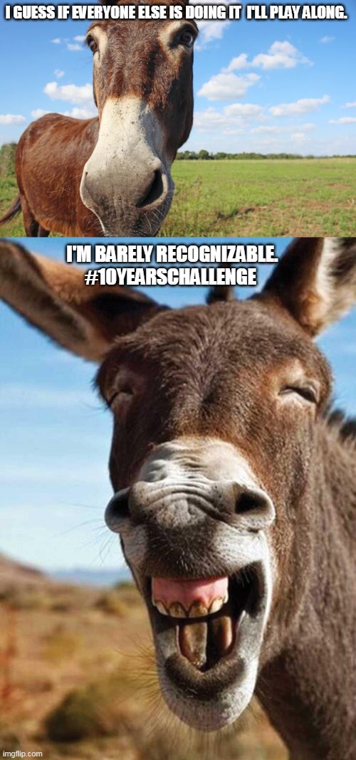 Ten year challenge |  I GUESS IF EVERYONE ELSE IS DOING IT  I'LL PLAY ALONG. I'M BARELY RECOGNIZABLE.
#10YEARSCHALLENGE | image tagged in ten year challenge,donkey,jackass,funny | made w/ Imgflip meme maker