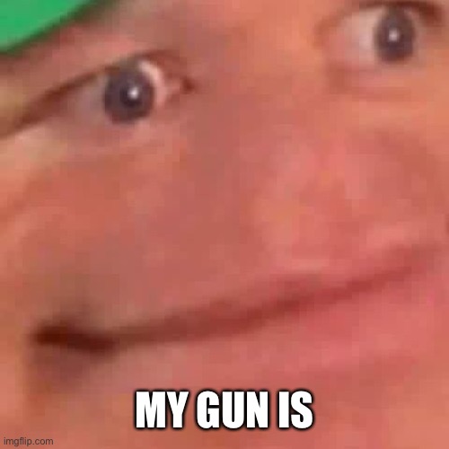 Wait Hol Up | MY GUN IS | image tagged in wait hol up | made w/ Imgflip meme maker