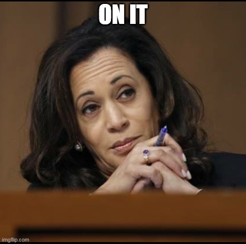 Kamala Harris  | ON IT | image tagged in kamala harris | made w/ Imgflip meme maker