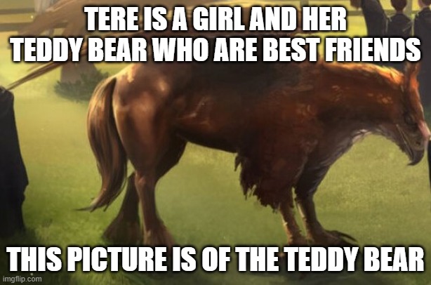 Hippogriff 2 | TERE IS A GIRL AND HER TEDDY BEAR WHO ARE BEST FRIENDS; THIS PICTURE IS OF THE TEDDY BEAR | image tagged in hippogriff 2 | made w/ Imgflip meme maker