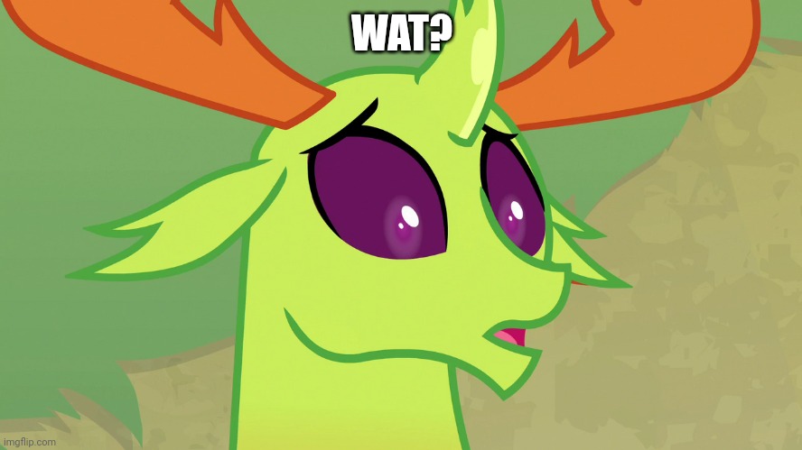 Confused Thorax (MLP) | WAT? | image tagged in confused thorax mlp | made w/ Imgflip meme maker