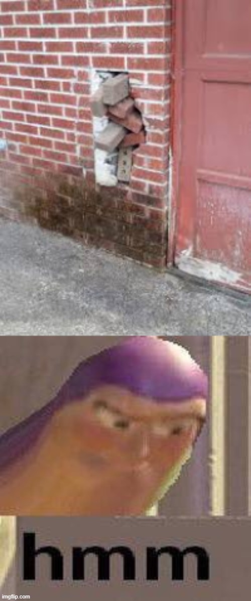 i dont think thats how you build a brick house | image tagged in buzz lightyear hmm | made w/ Imgflip meme maker
