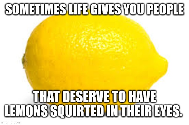When life gives you lemons, X | SOMETIMES LIFE GIVES YOU PEOPLE; THAT DESERVE TO HAVE LEMONS SQUIRTED IN THEIR EYES. | image tagged in when life gives you lemons x | made w/ Imgflip meme maker