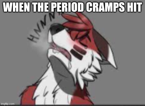 just a little yiff lol | WHEN THE PERIOD CRAMPS HIT | image tagged in furry memes | made w/ Imgflip meme maker