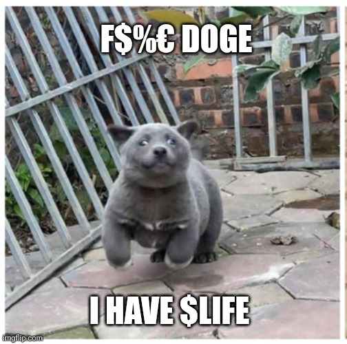 Life | F$%€ DOGE; I HAVE $LIFE | image tagged in crypto | made w/ Imgflip meme maker